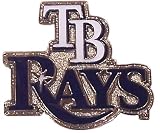Tampa Bay Rays Primary Plus Logo Pin
