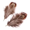 Gütermann / KnorrPrandell 6617982 - Fasanfedern natur 3-9cm, 1,5g/Beutel