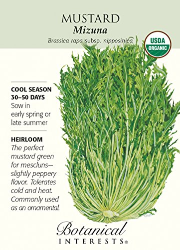 Mustard Greens Mizuna Certified Organic Heirloom Seeds 175 Seeds