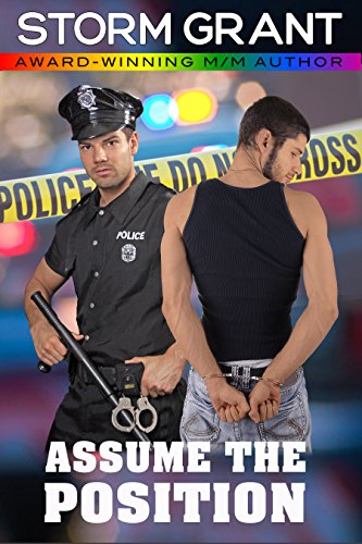 Assume the Position: a contemporary gay romance