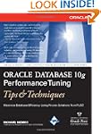 Oracle Database 10g Performance Tunin...