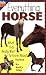 Everything Horse: What Kids Really Want to Know about Horses (Kids Faqs) by Marty Crisp