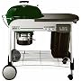 Weber 2009 Model 1427001 Performer Charcoal Grill, Green