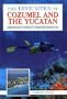 The Dive Sites of Cozumel, Cancun and the Mayan Riviera : Comprehensive Coverage of Diving and Snorkeling
