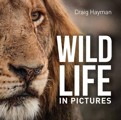 wildlife in pictures