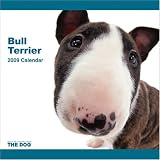 Bull Terrier Dog 2009 Wall 12''x12'' Calendar by THE DOG Artlist Collection