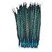 Celine lin 10PCS Natural Pheasant Feathers Pheasant Tails 14-16inch(35-40CM),Lake Blue