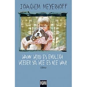 Wann wird es endlich wieder so, wie es nie war: Roman. Alle Toten fliegen hoch, Teil 2 (KiWi)