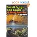 Fossil Frogs and Toads of North America (Life of the Past)