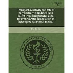 Transport, Reactivity and Fate of Polyelectrolyte Modified Zero Valent Iron Nanoparticles Used for Groundwater Remediation in Heterogeneous Porous Med