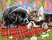 Malen nach Zahlen Masterpiece Neue Freunde Hund und Katze Größe 39cm x 30 cm