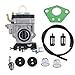 HIPA 300486 43cc Carburetor for Earthquake Auger MC43 E43 E43CE MC43CE MC43E MD43 Tiller Cultivator WE43 WE43E Powermate Edger PEA438 PCV43 Southland SCV43 SEA43 SEA438 Eskimo Mako M43 51.7cc Engine