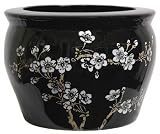 Asian Design Planter Pots - 10 Plum Blossoms on Black Porcelain Pottery Fishbowl Jardiniere