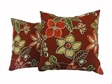 Newport Layton Home Fashions 2-Pack KE20 Indoor/Outdoor Pillows, Calypso, Cranberry
