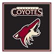 Phoenix Coyotes NHL Note Cube