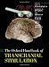 Oxford Handbook of Transcranial Stimulation (Oxford Handbooks)
