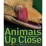 Animals Up Close