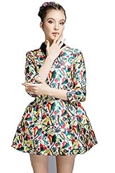 Winter General Print  Dress