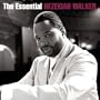 Essential Hezekiah Walker (Bril)