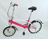 e-Lightning Superlight Folding Electric Bicycle Only 27 Pounds, Lithium Ion Internal Batteries, Neodymium Motor, Magnalium Frame