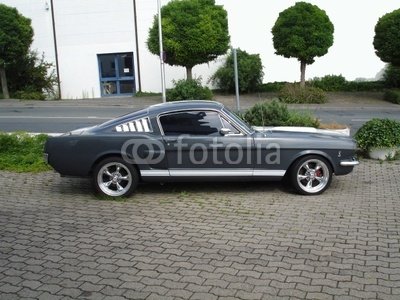 Wallmonkeys Peel and Stick Wall Decals - Ford 