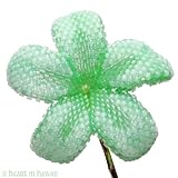 Hawaiian Plumeria Flower - Jade Green - beadwoven flower pin