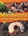 Minibeasts on a Compost Heap (Where to Find Minibeasts)