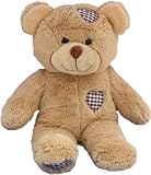 LONG MESSAGE recordable 15 inch talking teddy bear with 1 minute of recording time.