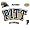 Pittsburgh Panthers