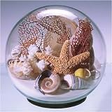 Sand & Shell Sandglobe Paperweight 6-inch White Sand