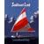 Sailboat Lost