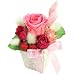 Flourish �ץꥶ���֥ɥե� �����������󥸡� ���������������ʥ� ǻ�ԥ�