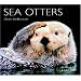 Sea Otters