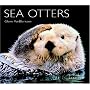 Sea Otters