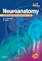 Neuroanatomy