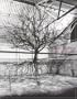 Katie Holten: Paths of Desire