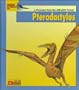 Looking At...Pterodactylus: A Dinosaur from the Jurassic Period (New Dinosaur Collection)
