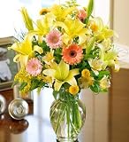 1-800-FLOWERS FIELDS OF EUROPE (TM)