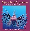 Sensational Sea Creatures (Marvels of Creation)