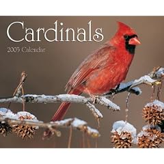 Cardinals Cal 2005