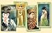 Book China Tarot