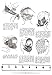 Hair Design -- Waving, Shaping and Curl Patterns for 1950s Hairstyles by Louis Newberry (2009-05-04)