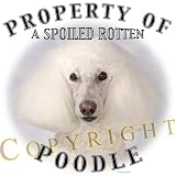 Poodle WHITE Property Of Adult T Shirt