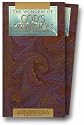 The Wonders of God's Creation (3-tape set Volumes 1-3: Planet Earth, Animal Kingdom, Human Life) [VHS]