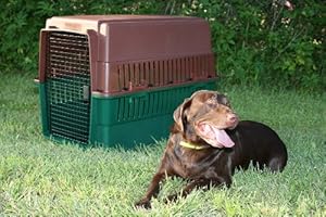 Amazon.com: Grain Valley Sportsman s Choice