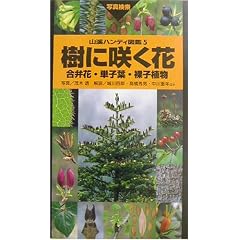 樹に咲く花―合弁花・単子葉・裸子植物 (山渓ハンディ図鑑)