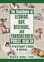 The Handbook of Lesbian, Gay, Bisexual, And Transgender Public Health: A Practitioner's Guide to Service