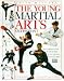 Search : The Young Martial Arts Enthusiast (Young enthusiast)