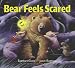 Books : Bear Feels Scared