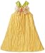 Blue Pearl Girls 7-16 Crinkle Taffeta Rachel Dress With Floral Sheer Butterfly
